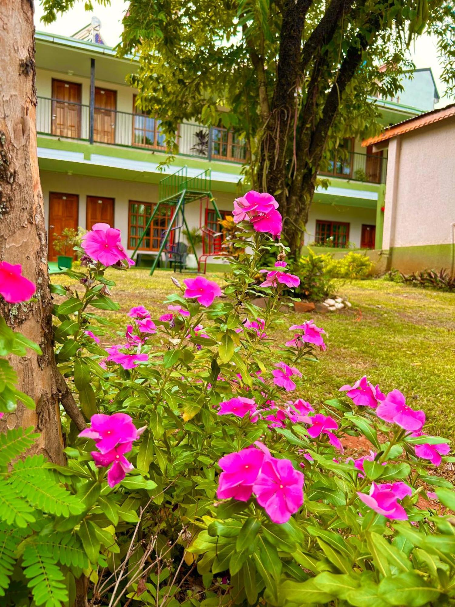 Tupa Hotel Iguazu 伊瓜苏港 外观 照片